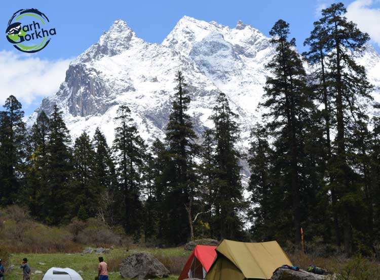 Undulating slopes of dayara bugyal with scattered wildflowers is a sight to behold. Picture by Atul Uniyal.